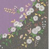 (musu Beauty) Shinpei Double Width 7 # # # #