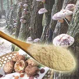 Matsuoka Shiitake Mushrooms Produced in Oita, 2.1 oz (60 g), Natural Flavor Sauce