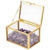 rockcloud Amethyst Healing Crystal Terrarium Container Desktop Planter for Succulent