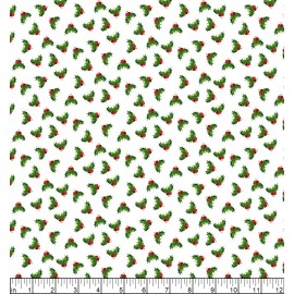 Northcott - Letters To Santa - Holly Toss - White/Multi, Fabric BTY