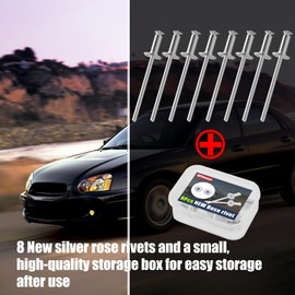 WFhuaye 4 Pair Nos Dash Rosette Rivets Stainless Steel Fit for GM Ford AMC VIN Door Tag with a Storage Box (Silver)