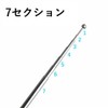 Audiophan Antenna Telescopic FM Radio AFANT (75cm 7 Section Tumbled