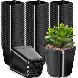 500 Pack 2 Inch Plastic Seedling Pots Small Square Nursery Planters Flower Nursery Pots Planting Pots Plastic Plant Pot Plastic Planters for Outdoor Indoor Flower, Succulent, Starting Seedlings, Black