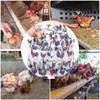 Eggs Collecting Gathering Holding Apron, 12 Deep Pockets Chicken Hens