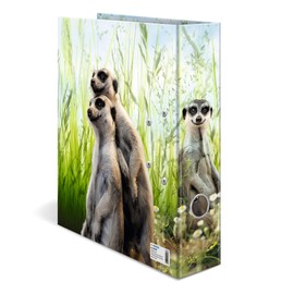 HERMA A4 Meerkat Folder, 7 cm Wide, Children's Ring Binder with Animal Motif, Colourful Lever Arch File with Inner Print for Boys and Girls