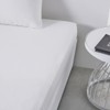 TODAY Essential Fitted Sheet 160 x 200 cm Double 100%