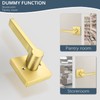 EHOMEWARE Gold Dummy Door Levers Interior Door Handles, Heavy Duty
