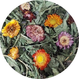 Pleasantly Warm Dandelion Treat - High Fiber Food for Chinchillas, Guinea Pigs & Squirrels - 5 Herbal Blends, 6oz - Rabbit, Hamster & Small Pet Snack