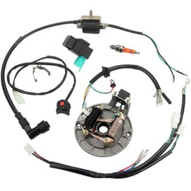 Baceyong Dirt Bike Ignition, Dirt 125cc Wiring Harness Ignition Coil Magneto Stator for Dirt Pit Bike 110 50 70 125cc
