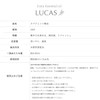 LUCAS LUCAS Spearmint Essential Oil/Aroma Oil, 1.7 fl oz (50