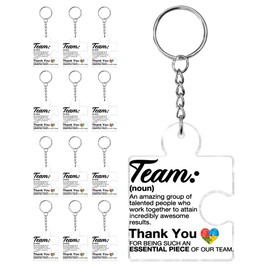 12 Pcs Team Appreciation Gifts for Coworkers Bulk, Employee Appreciation Gifts Thank You Keychain for Team Staff Teachers Volunteer, Inspirational Teamwork Gift Office Puzzle Piece Acrylic Keychains