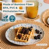 Nook Theory 4-Pack Bamboo Fiber Dinner Plates - Alternative for