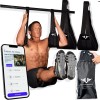 Vikingstrength Best AB straps Premium Padded Home Gym Exerciser Ab