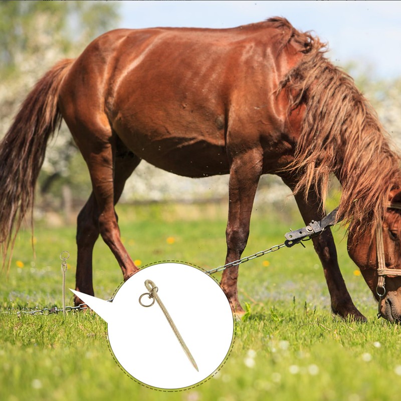 Alipis Heavy Duty Galvanized Ground Stakes for Dog Leash Camping