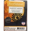 ScentSationals Harvest Moon Scented Wax Cubes, 2.5 OZ