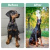YOULJINTFA 2 Pcs Dog Ear Posting Kit for Doberman Pinschers