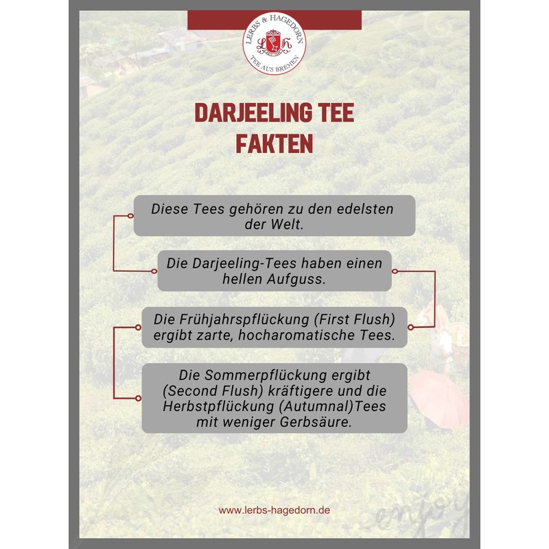 Lerbs & Hagedorn, Darjeeling Second Flush TGFOP Margaret's Hope |