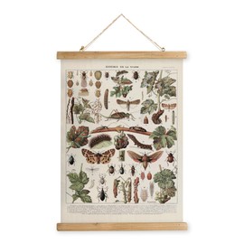 XIAOAIKA Vintage Vineyard Pests Identification Chart - Rustic Wall Hanging Educational Poster with Wooden Scroll Frame - Ideal for Wine Enthusiasts and Gardeners 12 x 16 Inches