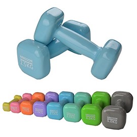 Vinyl Dumbbell Set of 2 Various Weights and Colours to Choose From (Light Blue, 2 x 2.5 kg)