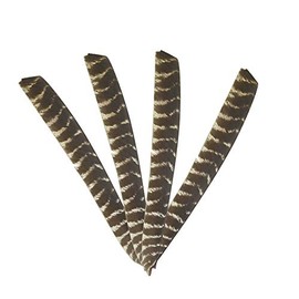 ZSHJGJR 30 Pieces Full Length Turkey Feather Archery Arrow Fletching (7-11 Inch) Spiral Twist Wrap Feathers Right Wing Fletches for DIY Flu Flu Arrows (Left Wing)