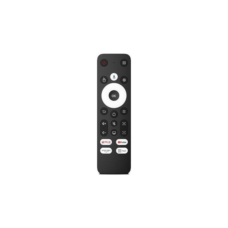 Projector Remote Control