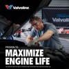 Valvoline Daily Protection SAE 50 Conventional Motor Oil 1 QT,