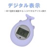 OriginCOM WTMP813-KJR Hot Water Thermometer Baby Bath Toy, Digital Thermometer,