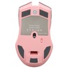 Wireless Mouse 2.4G Rechargeable USB RGB Professional Grade Optical Sensor