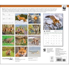 Calendar Ink, Foxes WWF 2025 Wall Calendar