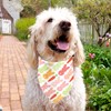 Easter Dog Bandanas 2 Pack, Bunnies Carrots Dog Scarfs for