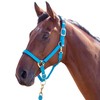 Shires Topaz Nylon Headcollar-Blue S Pony