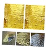 WHAMVOX Reflective Insulation Blanket Emergency Tarp 2pcs for Outdoor Adventure