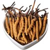Generic Wild Himalayan Yarsha Gumba Or Cordyceps Sinensis Large Pieces
