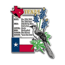 Texas State History Magnet