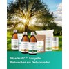 Bitterkraft! Hildegard von Bingen Toothpaste, 6 x 75 ml, Vine