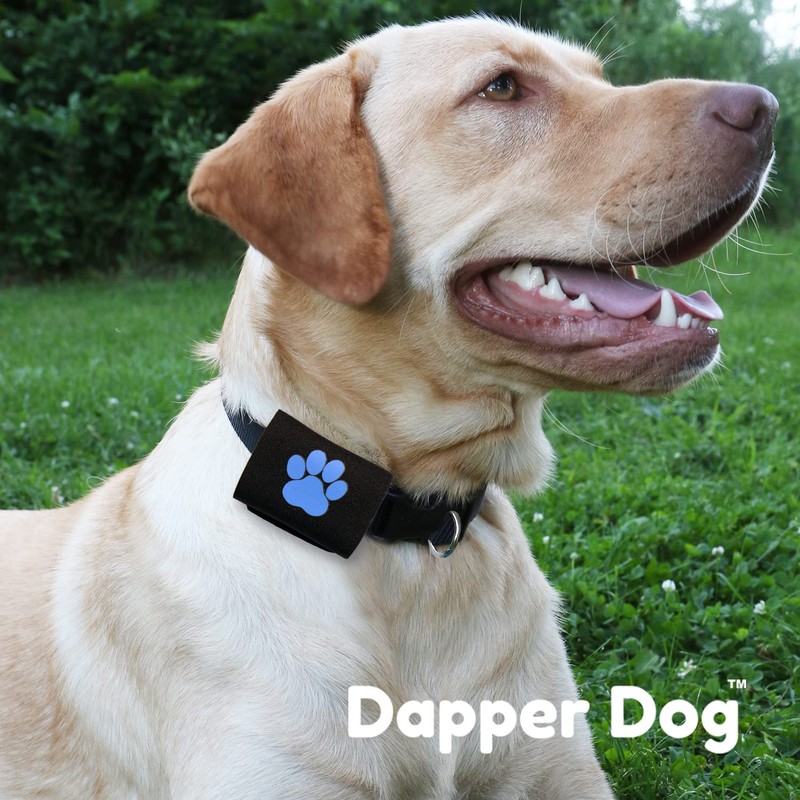 Dapper Dog Pet Tag Silencer and AirTag Holder (Black with