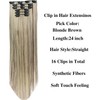 Hair Extensions Brown Blonde Clip in Hair Extensions Synthetic Long