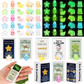 Cinnvoice 100 Sets Affirmation Mini Luminous Resin Appreciation Gift Box Breathing Gift Bulk for Coworker Emotional Mental Health Care Support Gift for Team Xmas, Turtle, Duck, Cow, Star