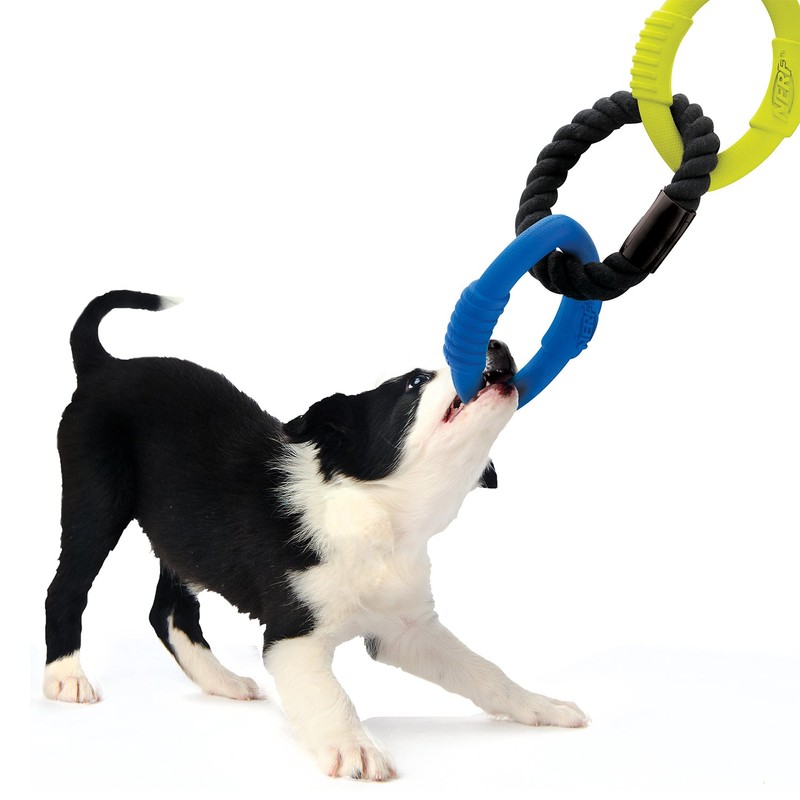 Nerf Dog Triple Ring Rubber Rope Tug Toy, Small