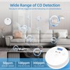 2 Packs Carbon Monoxide Detector LCD Digital Display 85dB Alarm