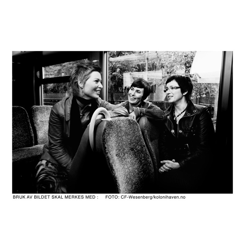 A Worcester Ladymass