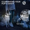 Super Bright LED Dog Collar - Fully Waterproof & Adjustable
