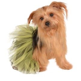 Rubie's Pet Tutu, Small to Medium, Black and Yellow