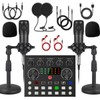V8s for 2, V8s Voice Changer with BM-800 Podcast Microphone