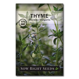 Sow Right Seeds Sow Right Seeds - Thyme Seed for Planting - Non-GMO Heirloom Packet with Instructions for Easy Planting Your Kitchen Herb Garden - Indoor or Outdoor - Great for Hydroponics Growing - Culinary Herb (1)