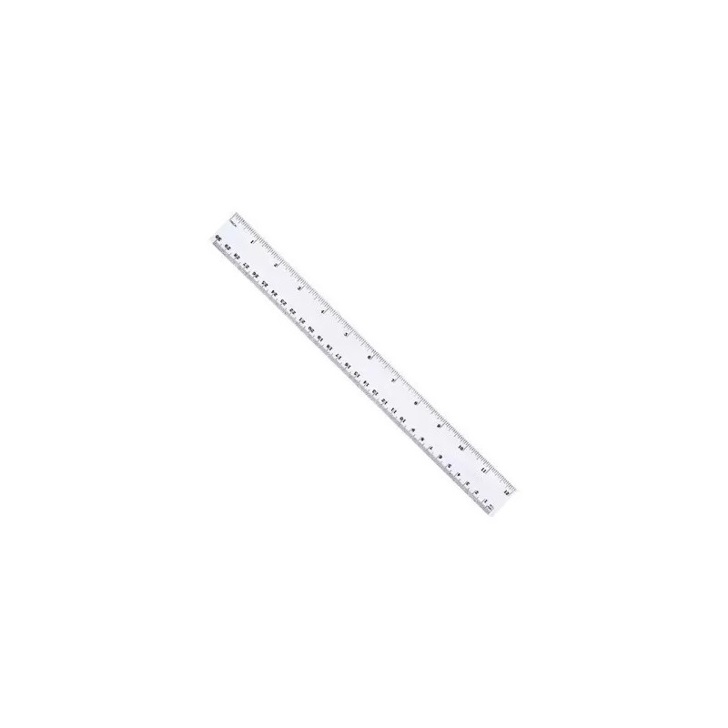 Leoncito 25 Reglas De 30 Cm Plastico Transparente Escolar Semi