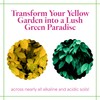 Grow More 3-0-1 Organic Iron Chelate Concentrate (10%) for Greener