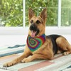 Green Rainbow Yellow Blue Rose Red Tie Dye Dog Bandana