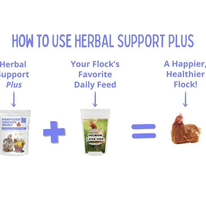 Herbal Support Plus Feed Additive For Chickens, Ducks, Quail, &
