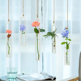 Sziqiqi Hanging Clear Glass Propagation Station Tube Vases for Cuttings, Buds, Greenery Hydroponic Plant Propagation Home Balcony Bath Wall Decoration Floral Container Set of 3 Ivory